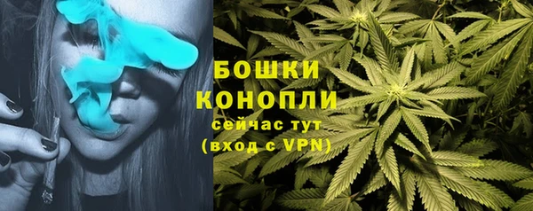 первитин Балахна